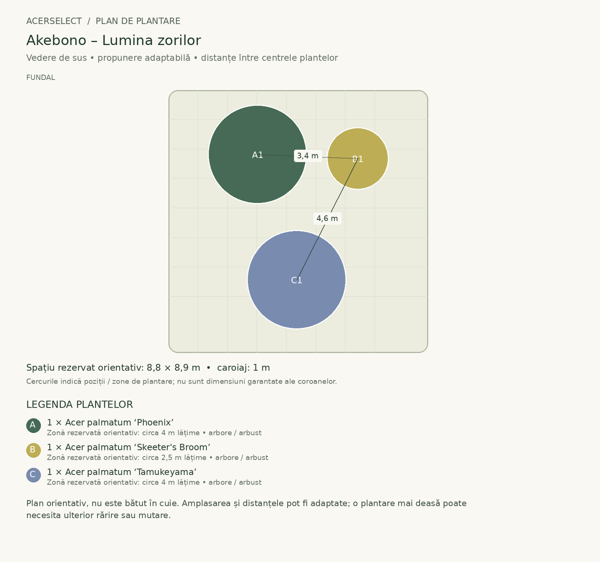 Plan de plantare, vedere de sus – Akebono – Lumina zorilor