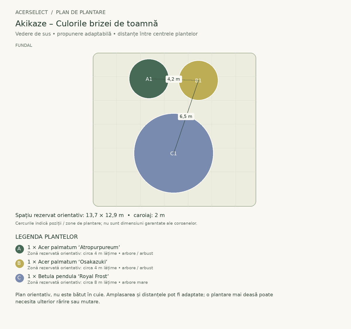 Plan de plantare, vedere de sus – Akikaze – Culorile brizei de toamnă