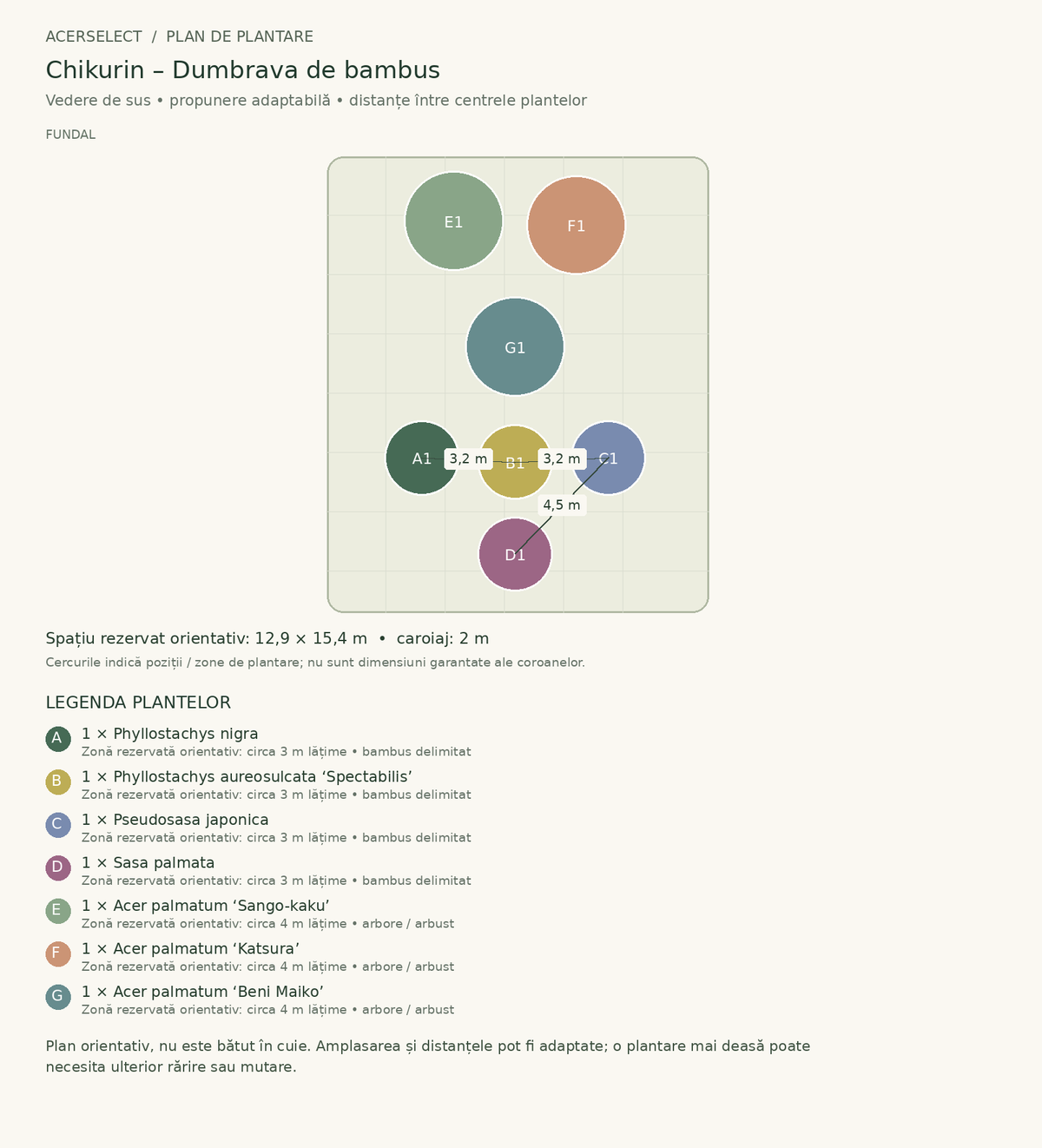 Plan de plantare, vedere de sus – Chikurin – Dumbrava de bambus