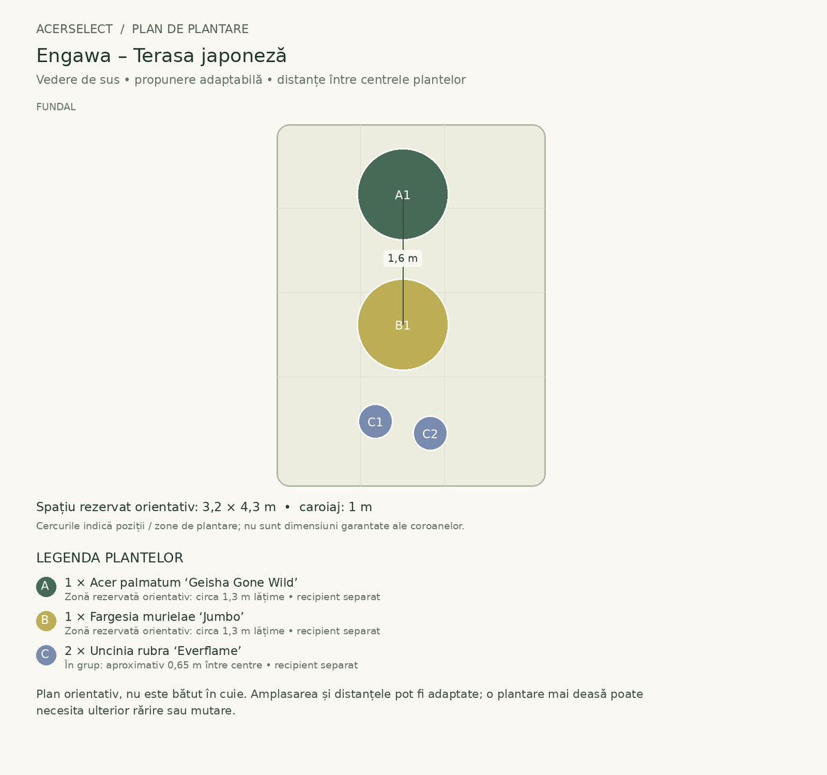Plan de plantare, vedere de sus – Engawa – Terasa japoneză