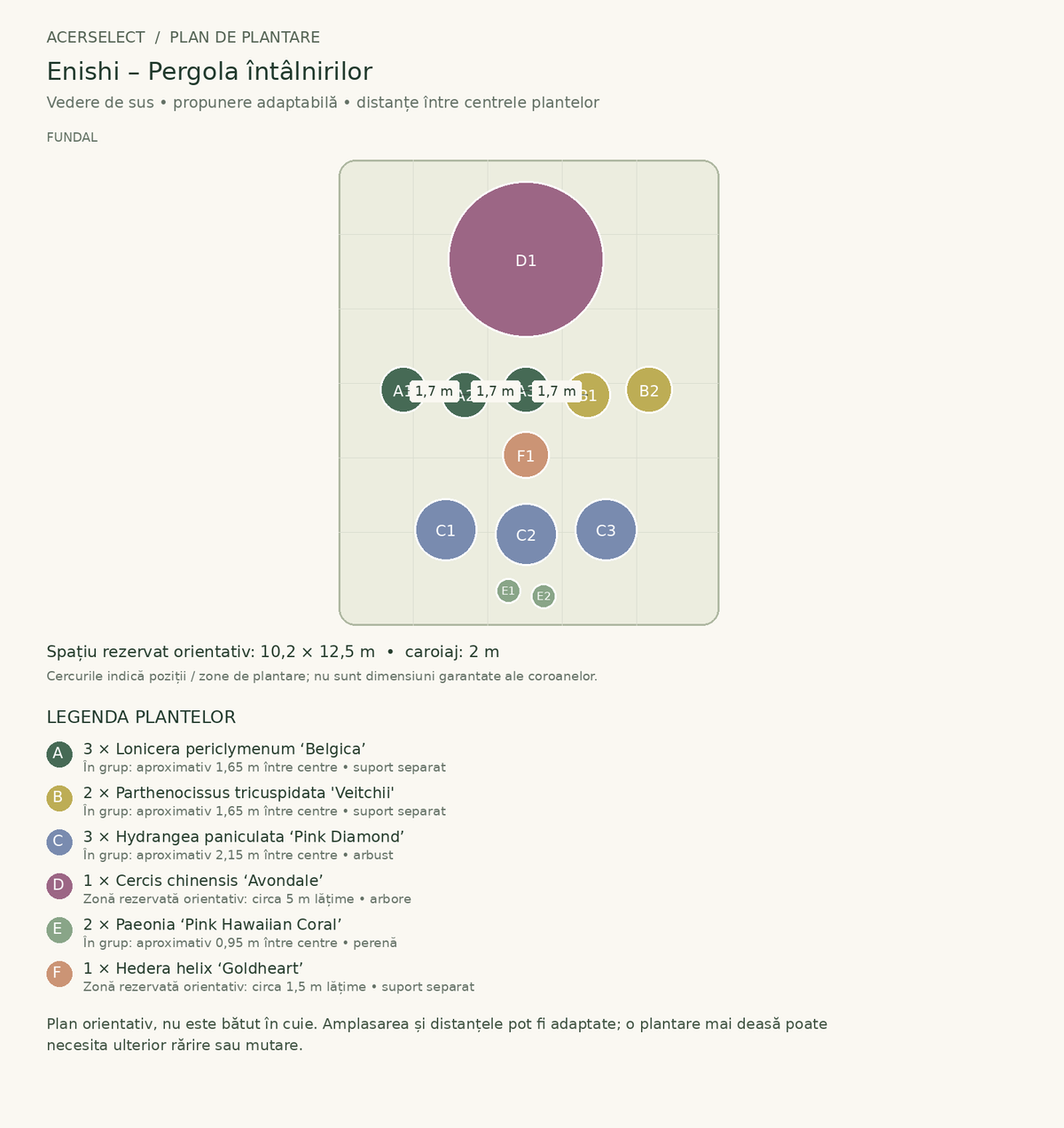 Plan de plantare, vedere de sus – Enishi – Pergola întâlnirilor