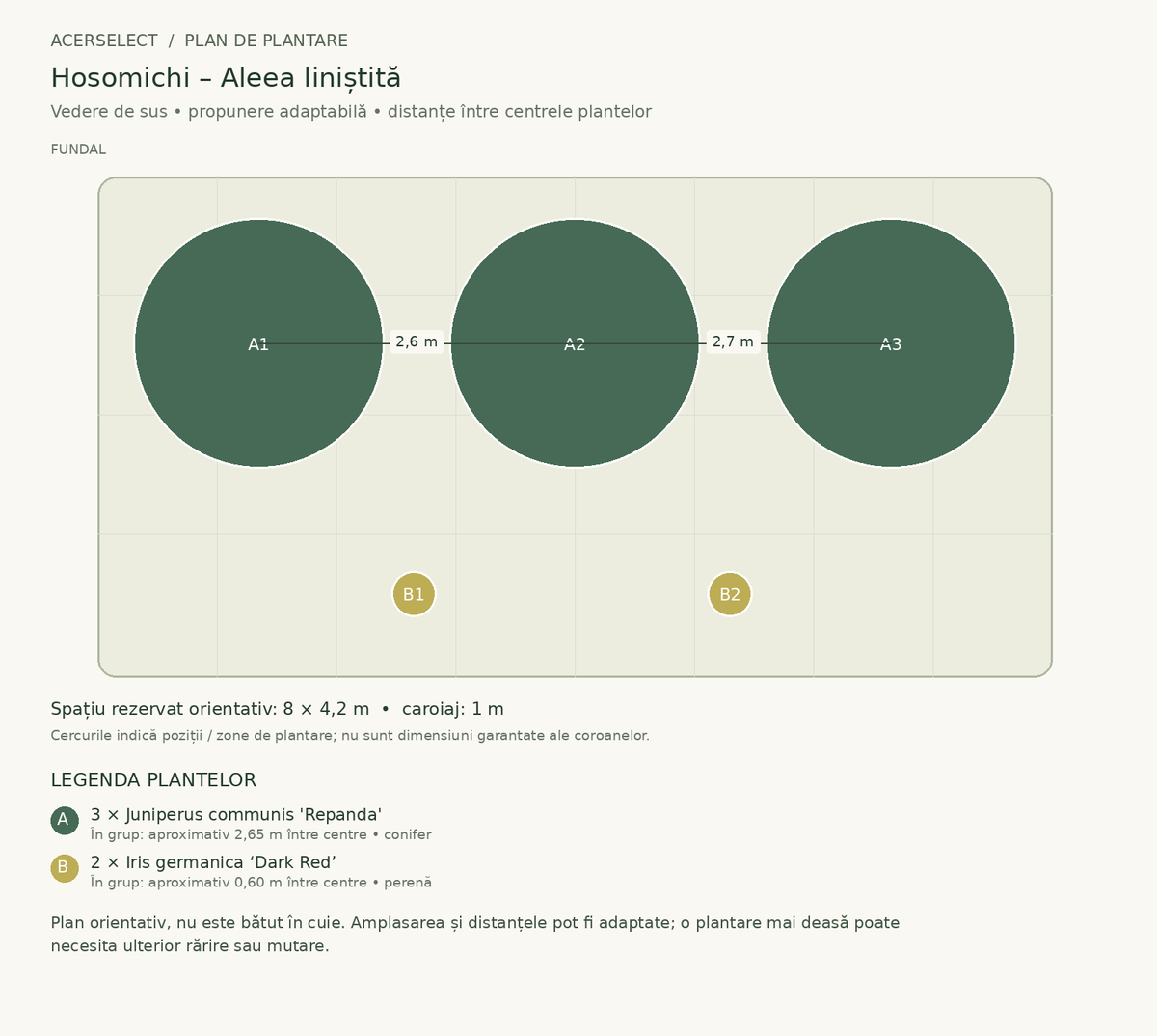Plan de plantare, vedere de sus – Hosomichi – Aleea liniștită
