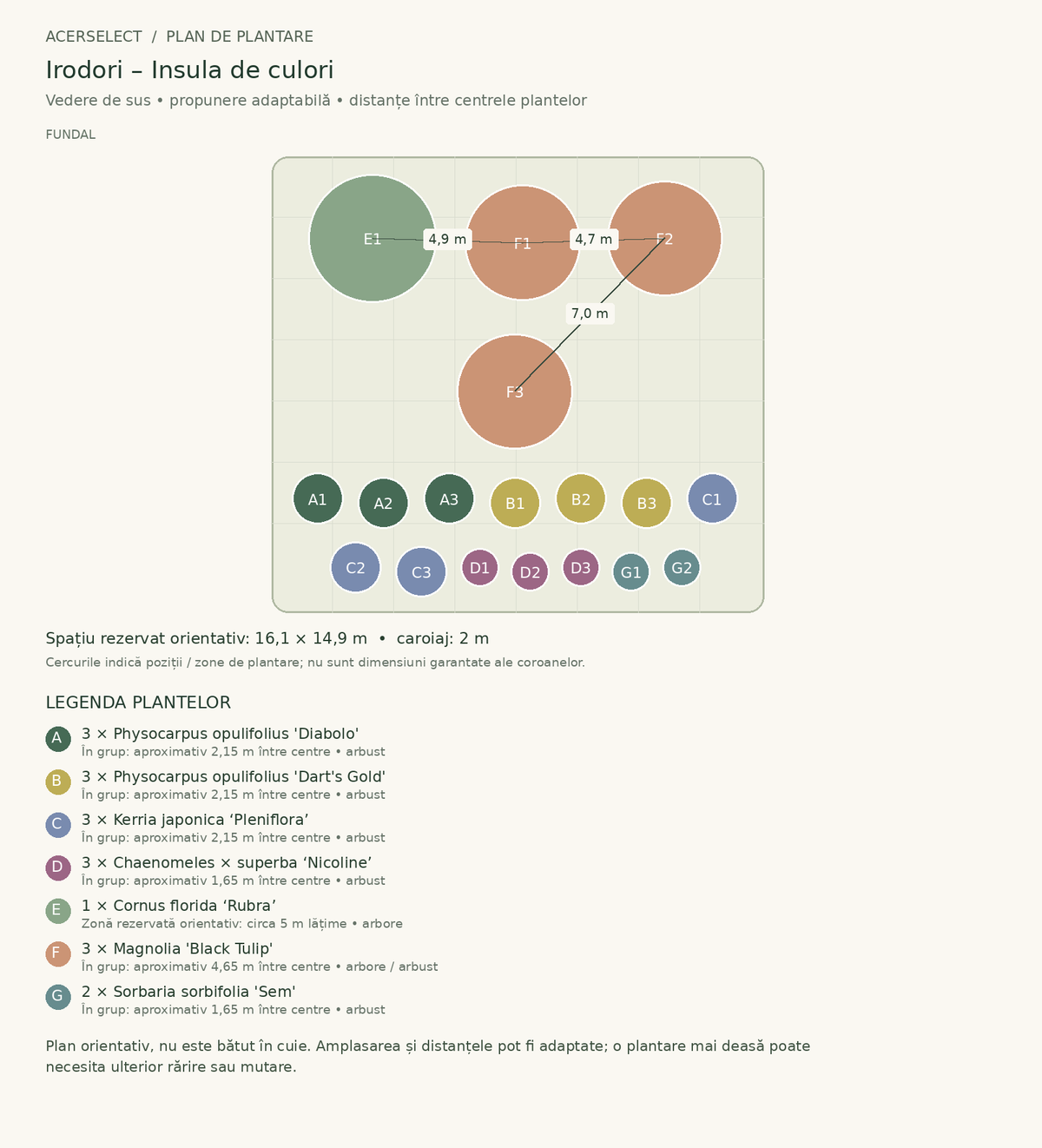 Plan de plantare, vedere de sus – Irodori – Insula de culori