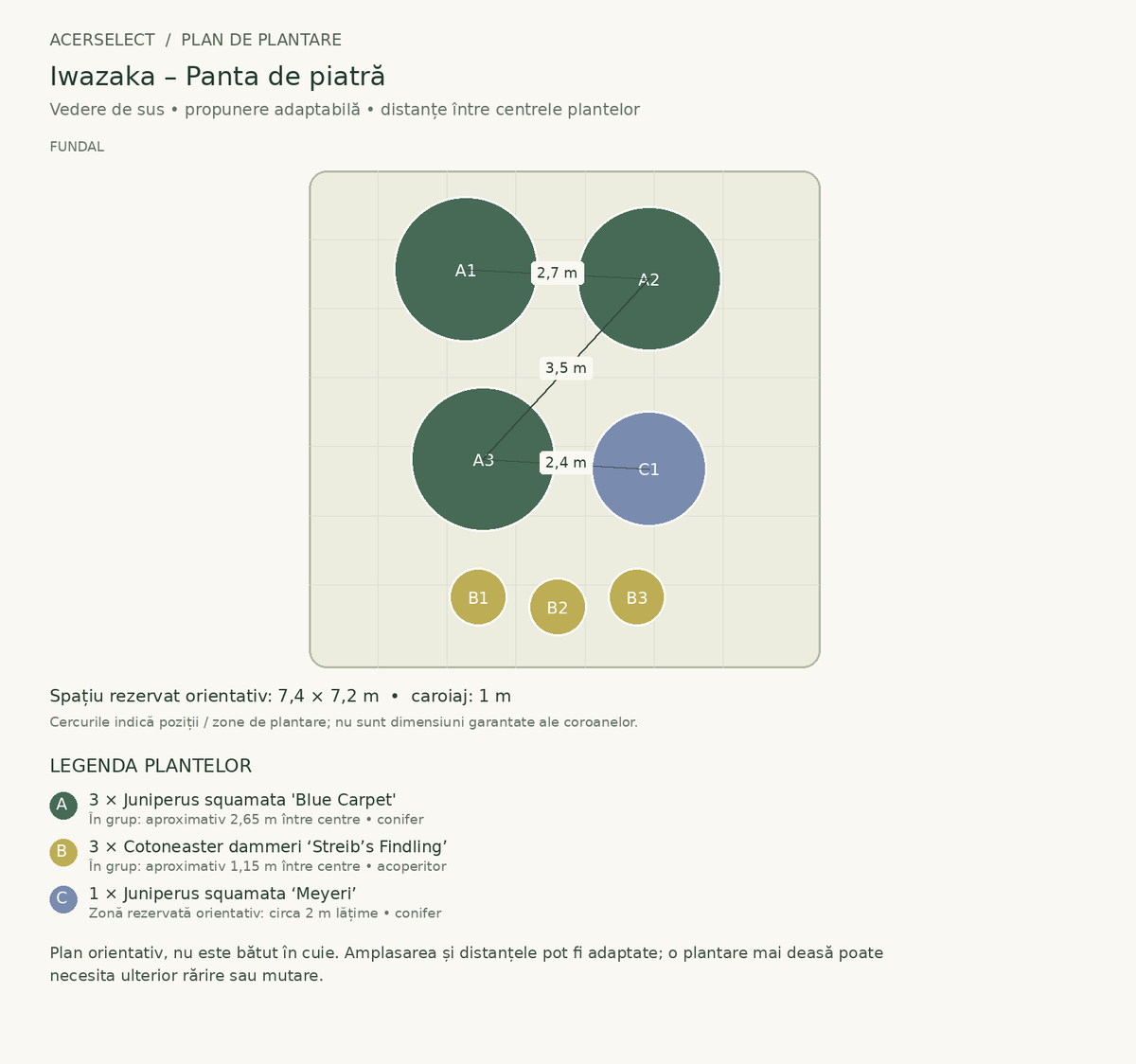 Plan de plantare, vedere de sus – Iwazaka – Panta de piatră