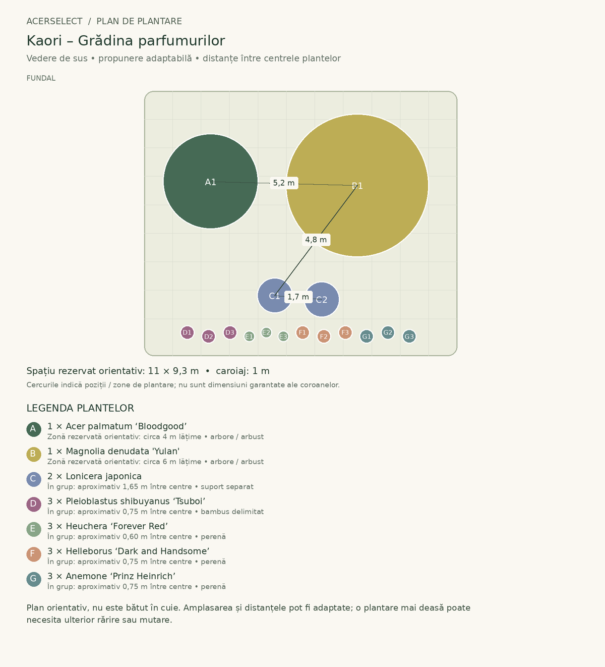 Plan de plantare, vedere de sus – Kaori – Grădina parfumurilor