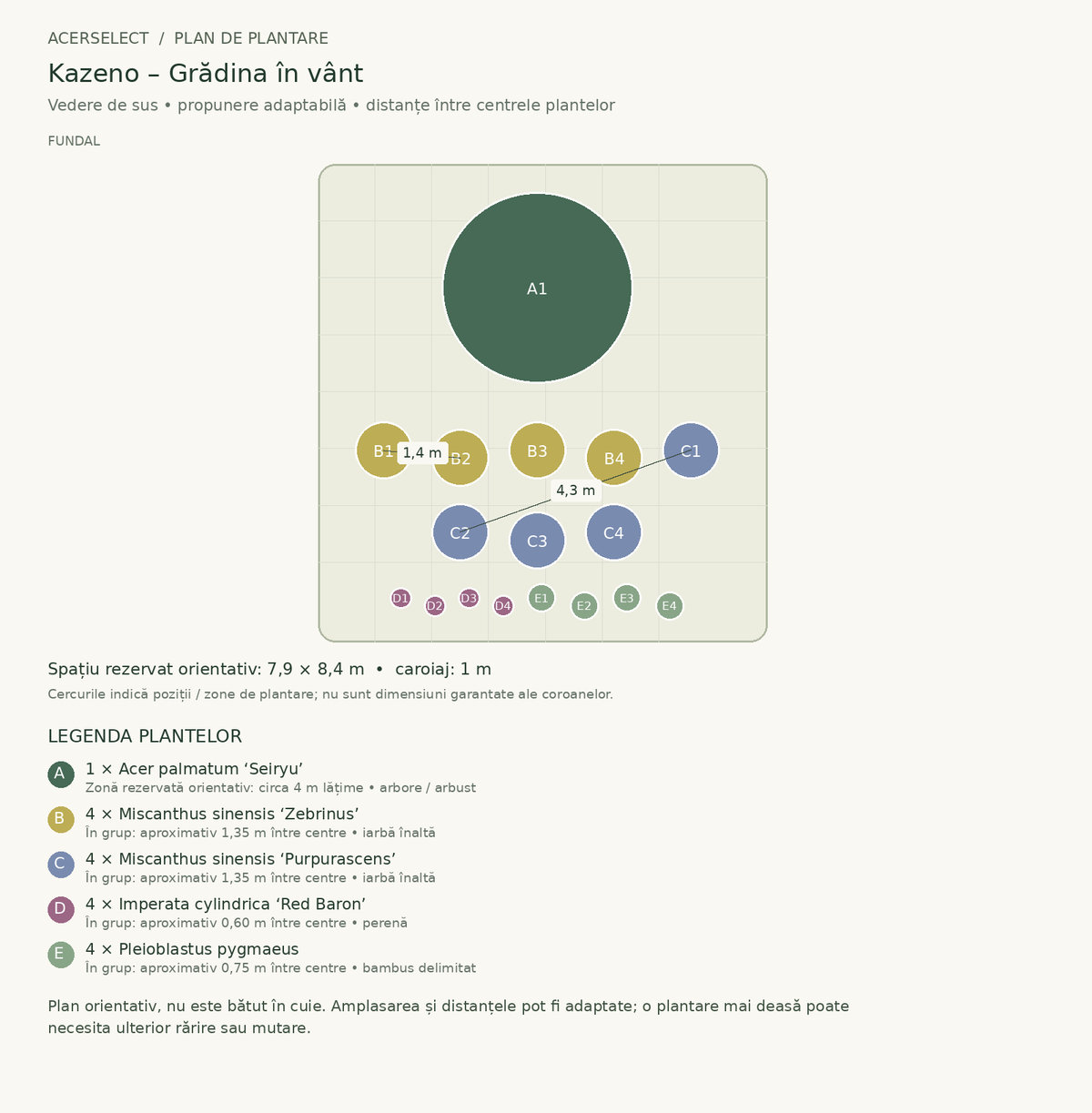 Plan de plantare, vedere de sus – Kazeno – Grădina în vânt