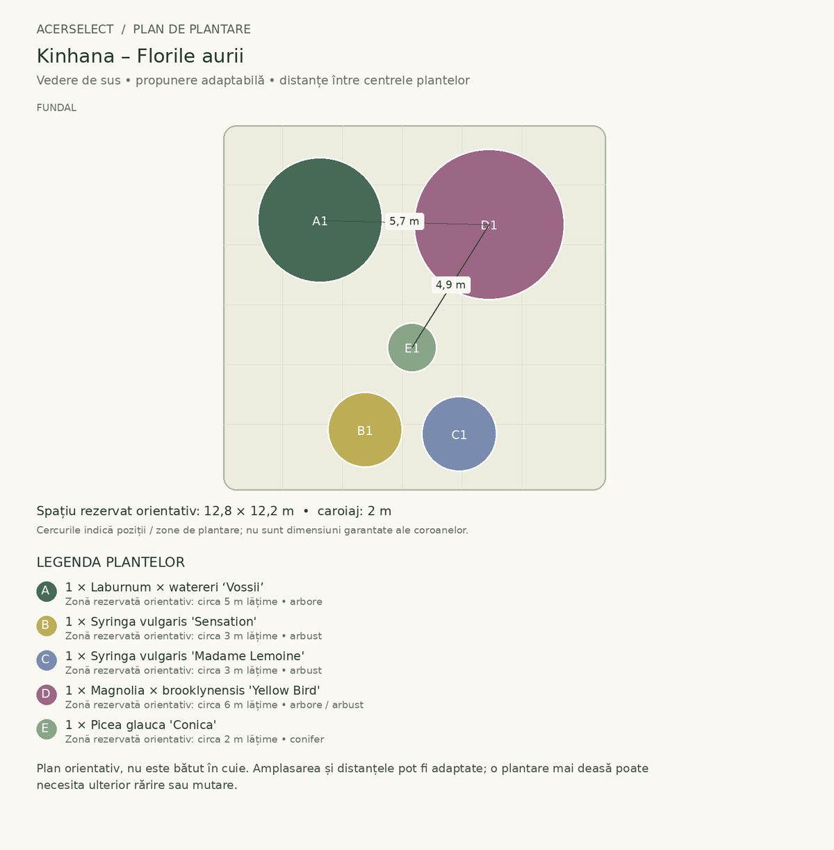 Plan de plantare, vedere de sus – Kinhana – Florile aurii