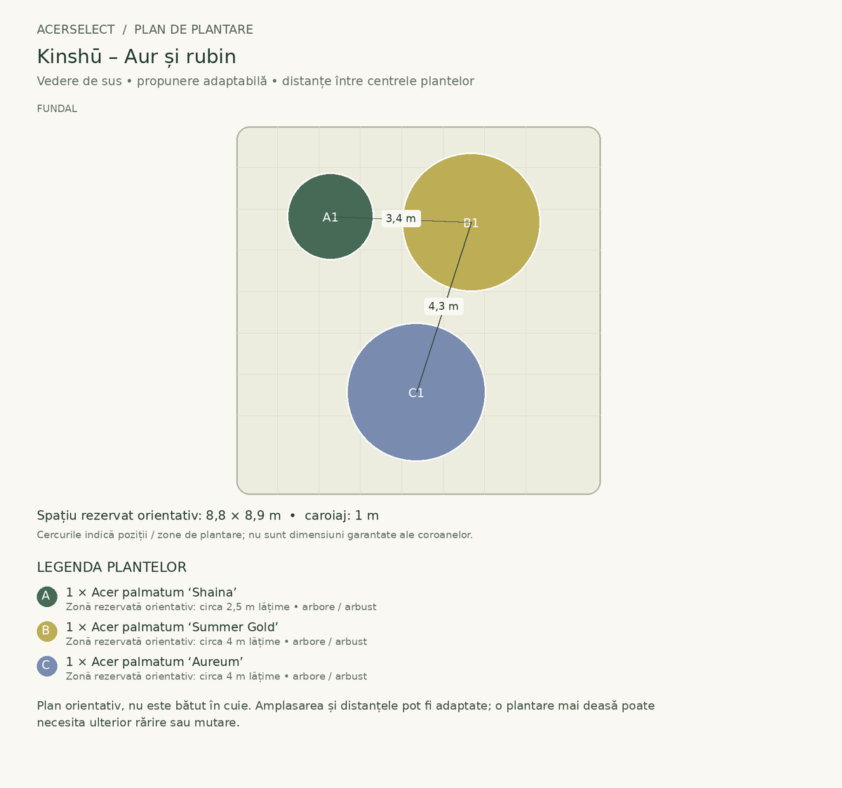 Plan de plantare, vedere de sus – Kinshū – Aur și rubin
