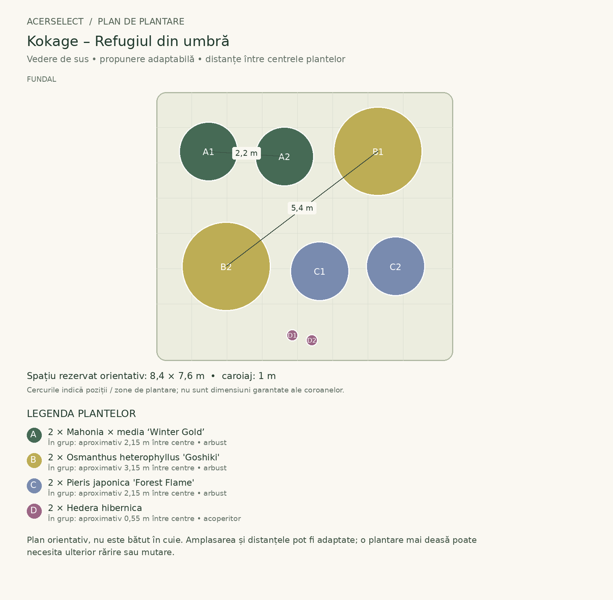 Plan de plantare, vedere de sus – Kokage – Refugiul din umbră