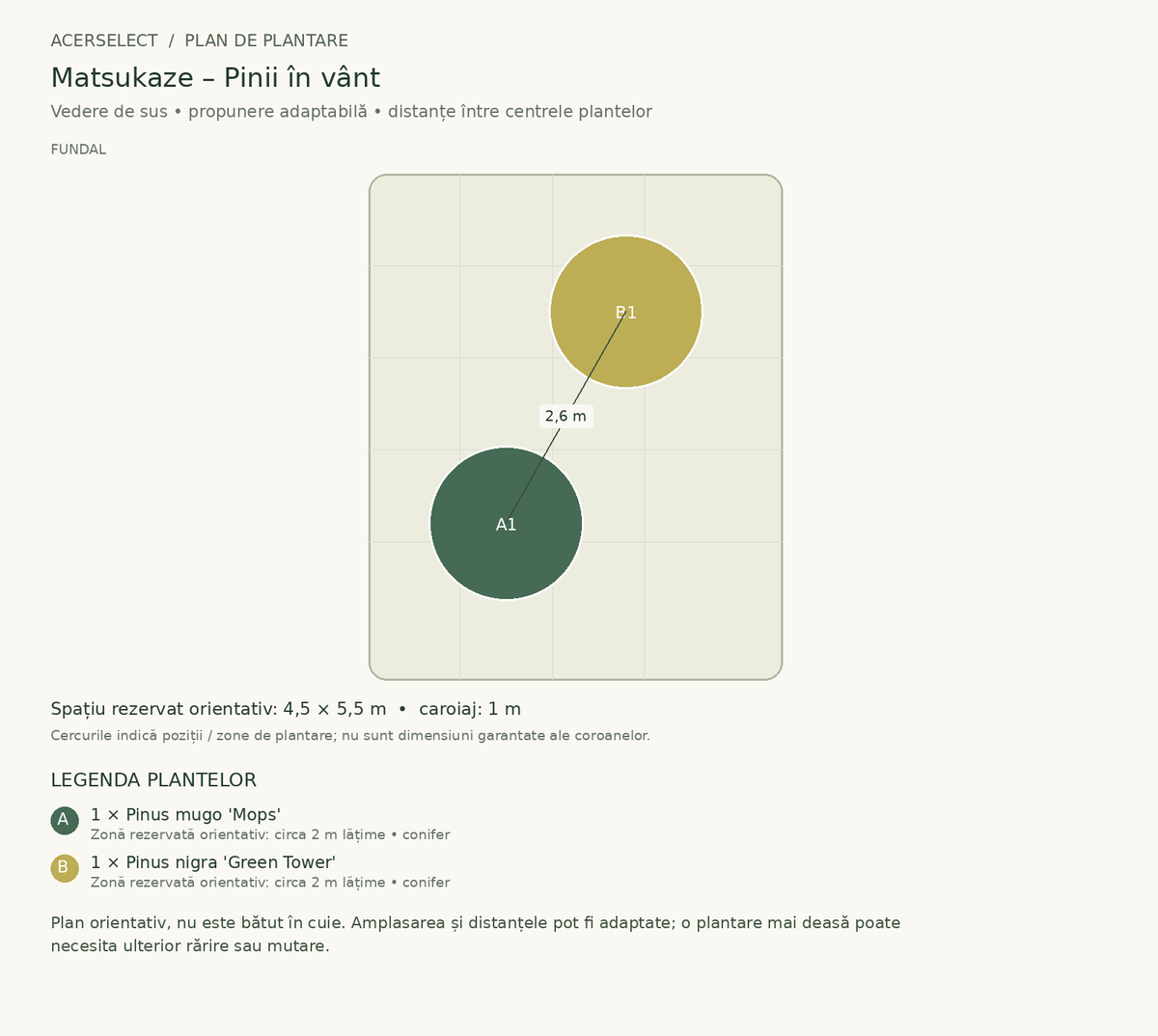 Plan de plantare, vedere de sus – Matsukaze – Pinii în vânt