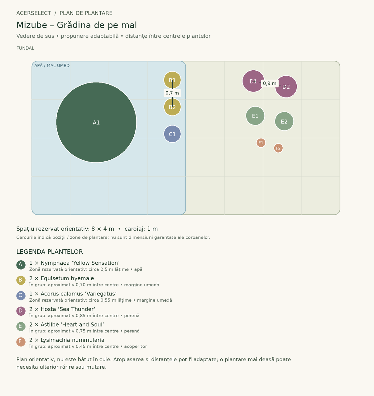 Plan de plantare, vedere de sus – Mizube – Grădina de pe mal