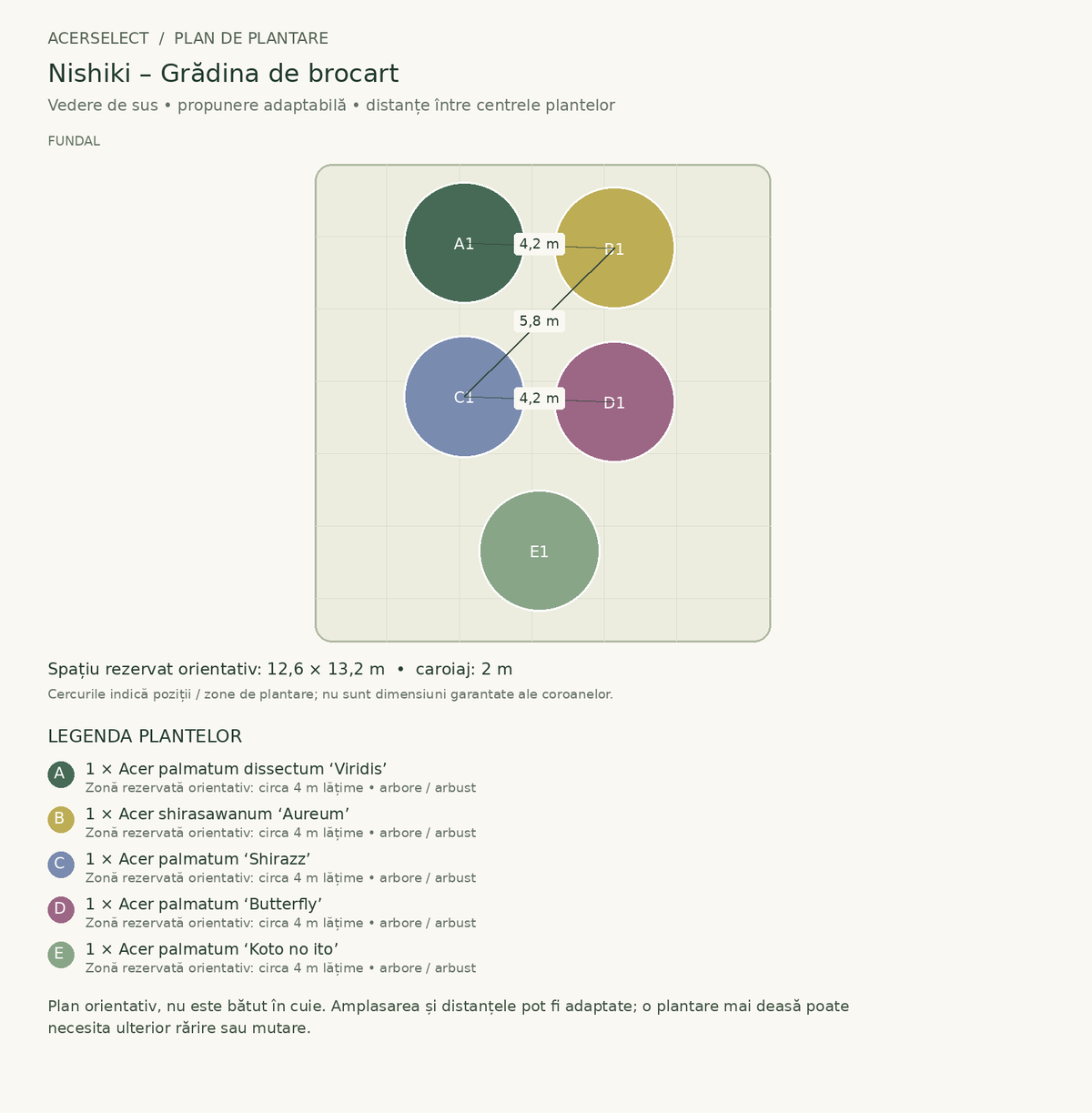 Plan de plantare, vedere de sus – Nishiki – Grădina de brocart