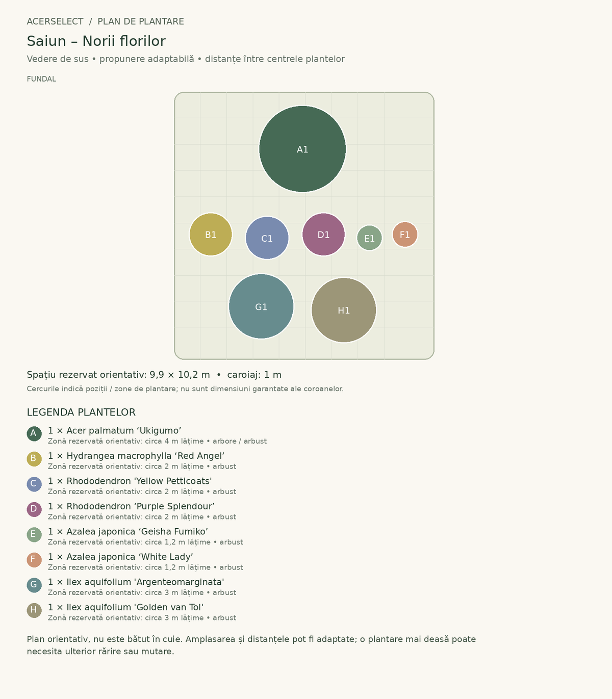 Plan de plantare, vedere de sus – Saiun – Norii florilor