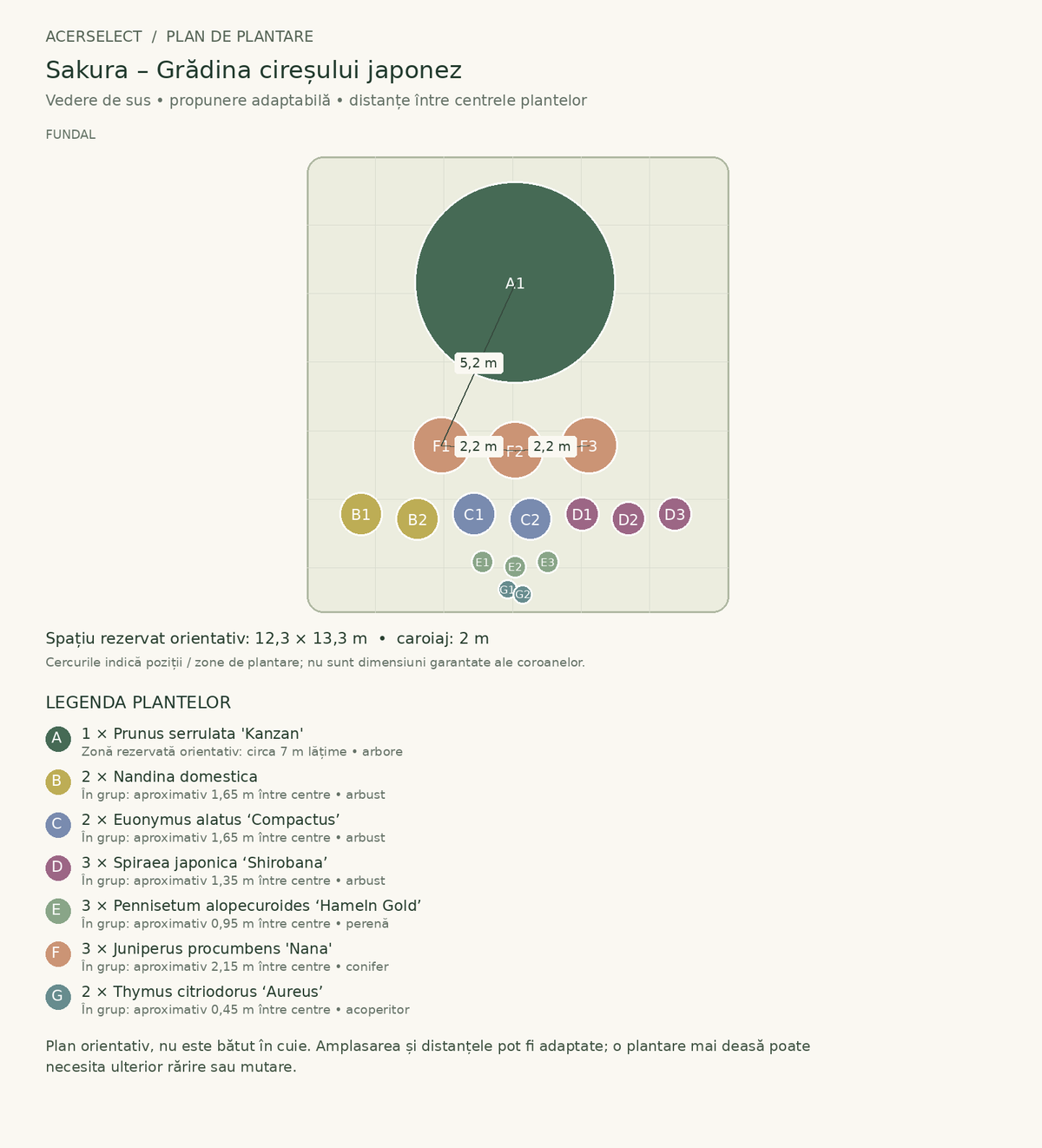 Plan de plantare, vedere de sus – Sakura – Grădina cireșului japonez