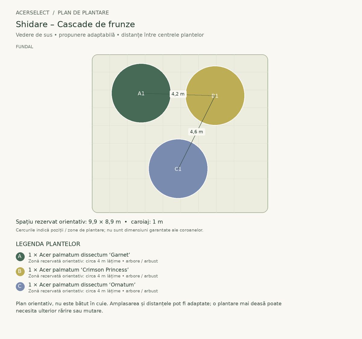 Plan de plantare, vedere de sus – Shidare – Cascade de frunze