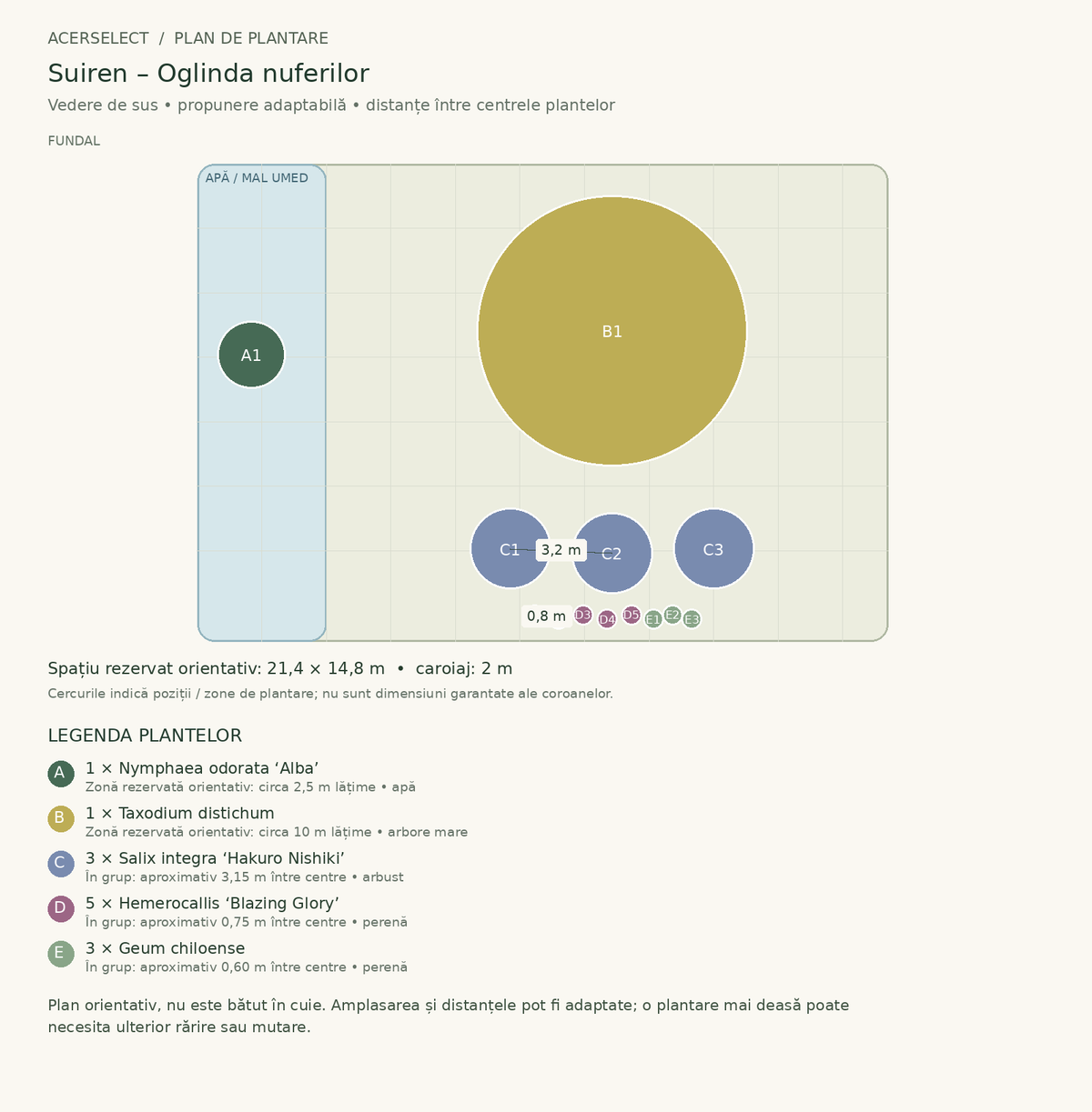 Plan de plantare, vedere de sus – Suiren – Oglinda nuferilor