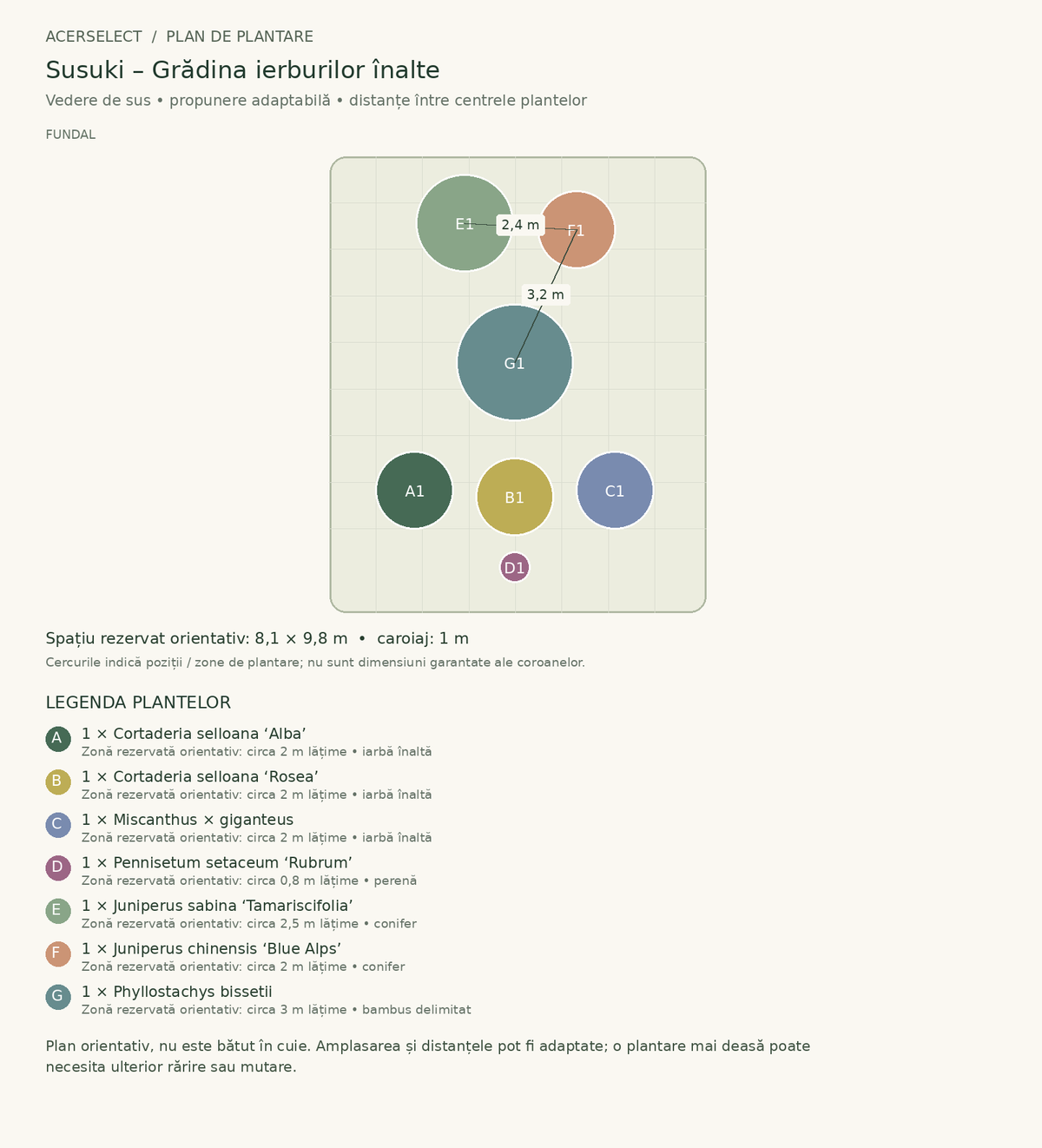 Plan de plantare, vedere de sus – Susuki – Grădina ierburilor înalte