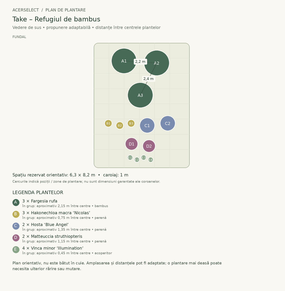 Plan de plantare, vedere de sus – Take – Refugiul de bambus