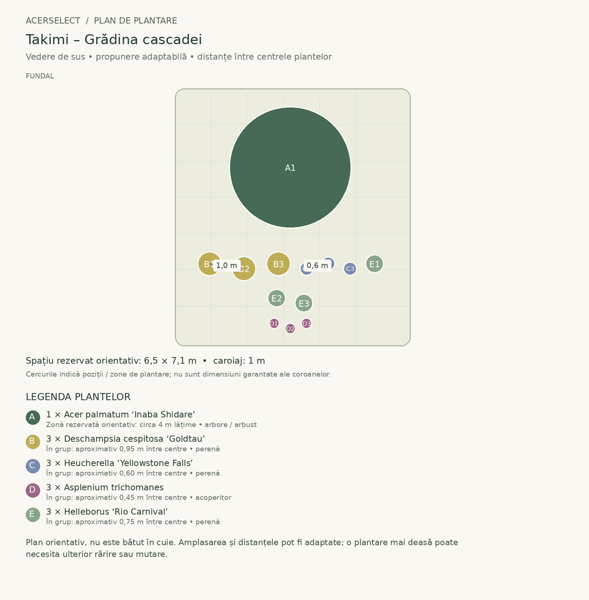 Plan de plantare, vedere de sus – Takimi – Grădina cascadei