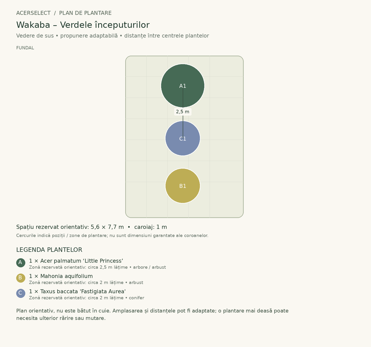 Plan de plantare, vedere de sus – Wakaba – Verdele începuturilor