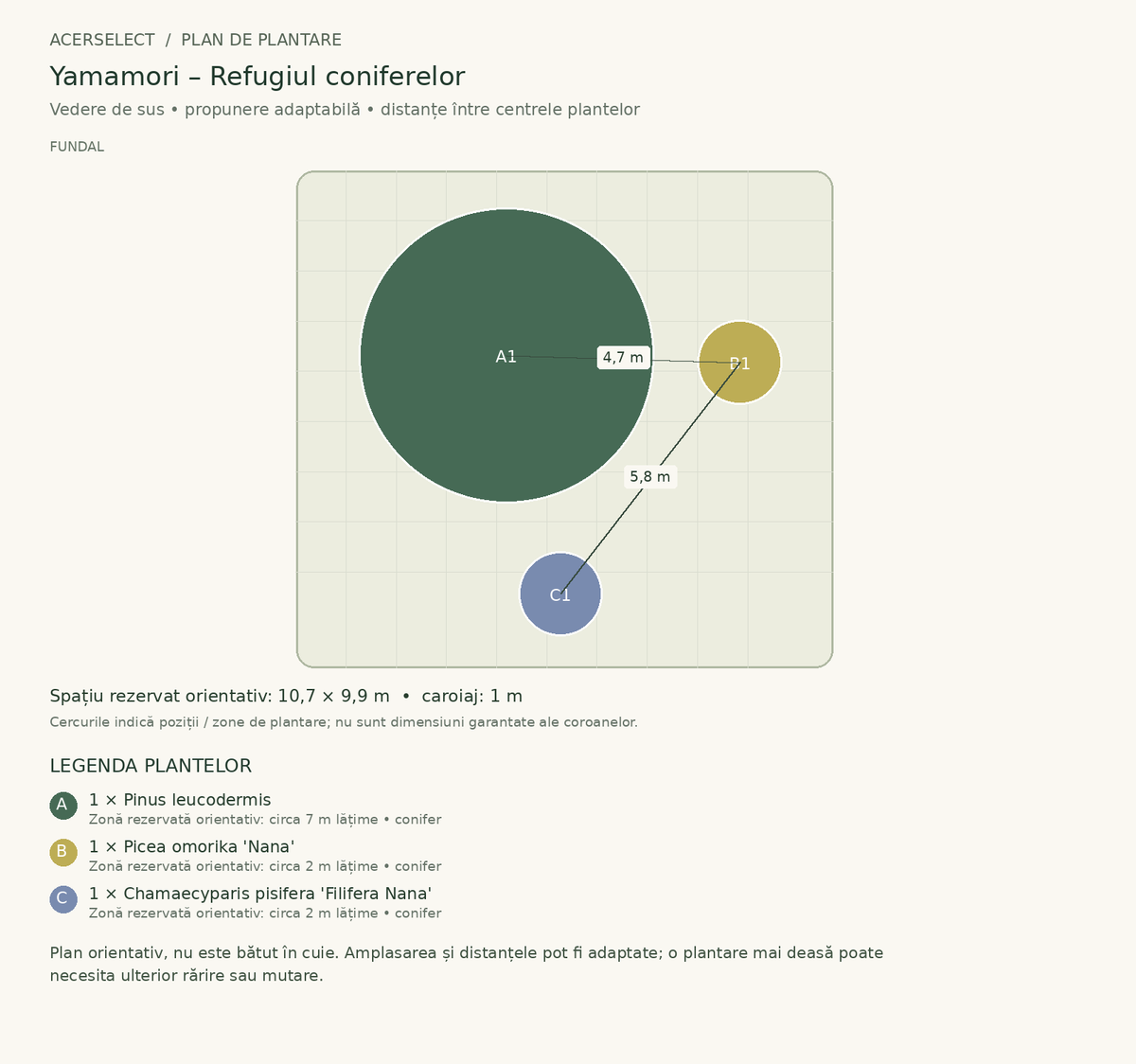 Plan de plantare, vedere de sus – Yamamori – Refugiul coniferelor