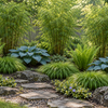 Take – amenajare ilustrativă cu Fargesia rufa, Hakonechloa Nicolas, Hosta Blue Angel, Matteuccia și Vinca Illumination
